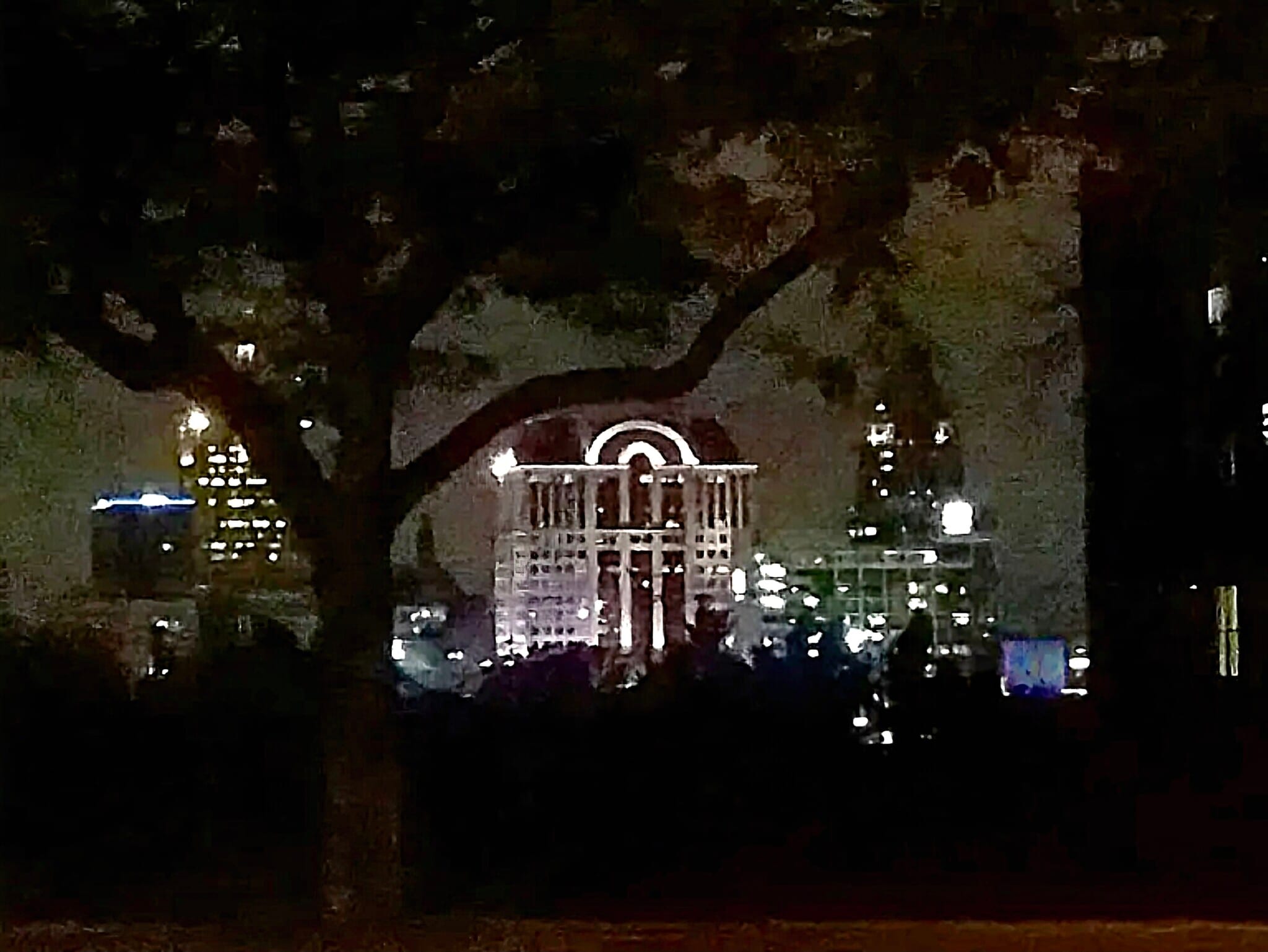 Evening view of downtown from outside year round - 1924 N Hubbard St