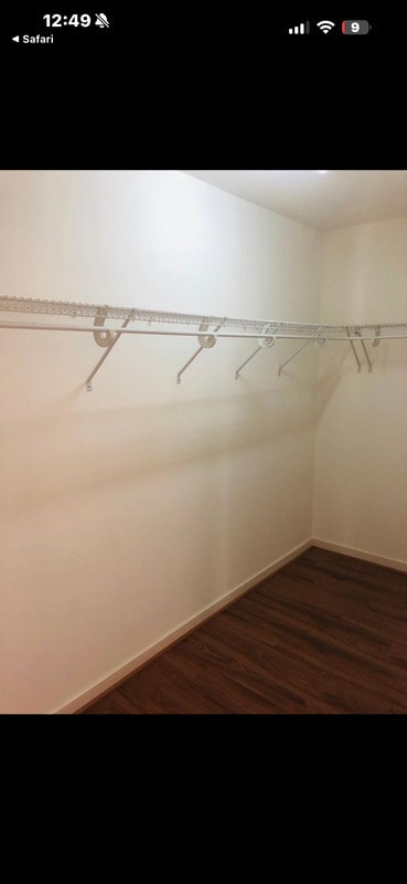 Building Photo - 1107 Magnolia Pointe Blvd