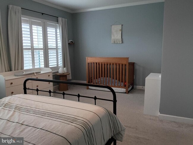 Building Photo - 3113 Sundrops Ct