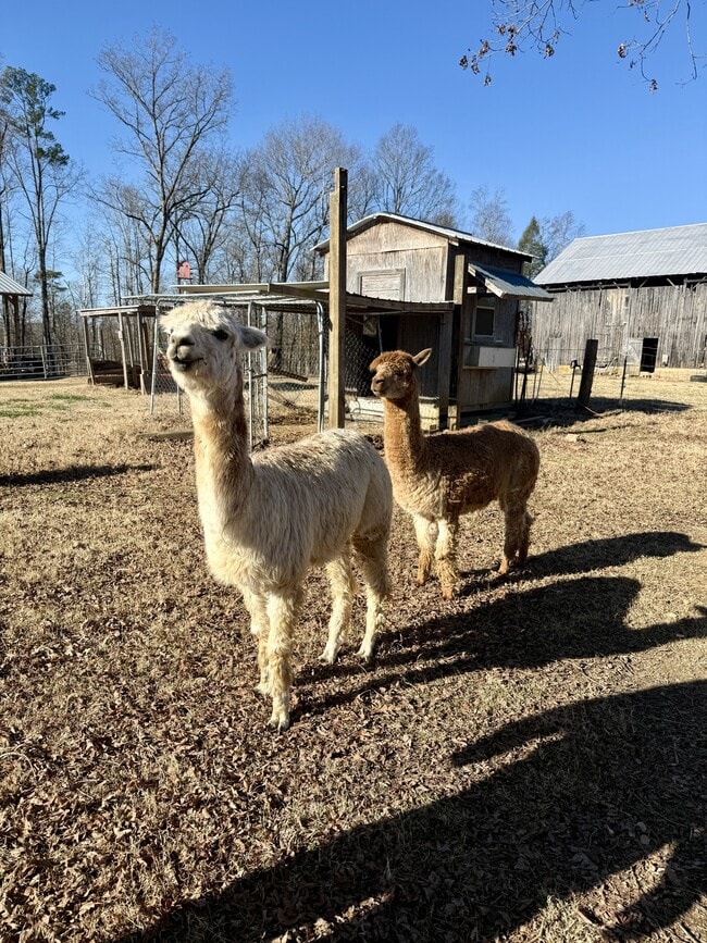 Building Photo - 3515 Mint Rd