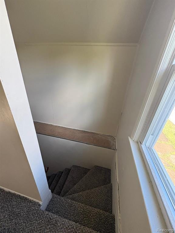 Building Photo - 1701 Park St