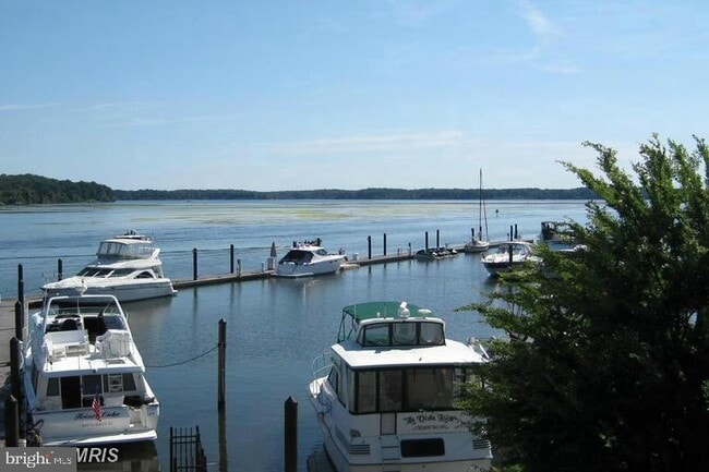 Building Photo - 724 Vestal St