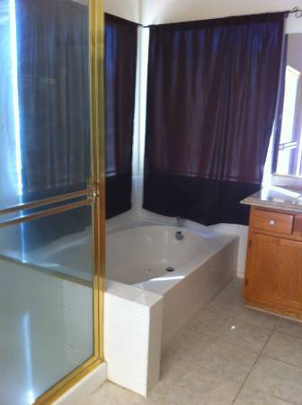 Master bath tub and shower - 3745 Bossa Nova Drive