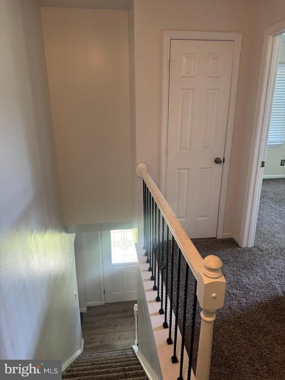 Building Photo - 10507 Cobblestone Dr