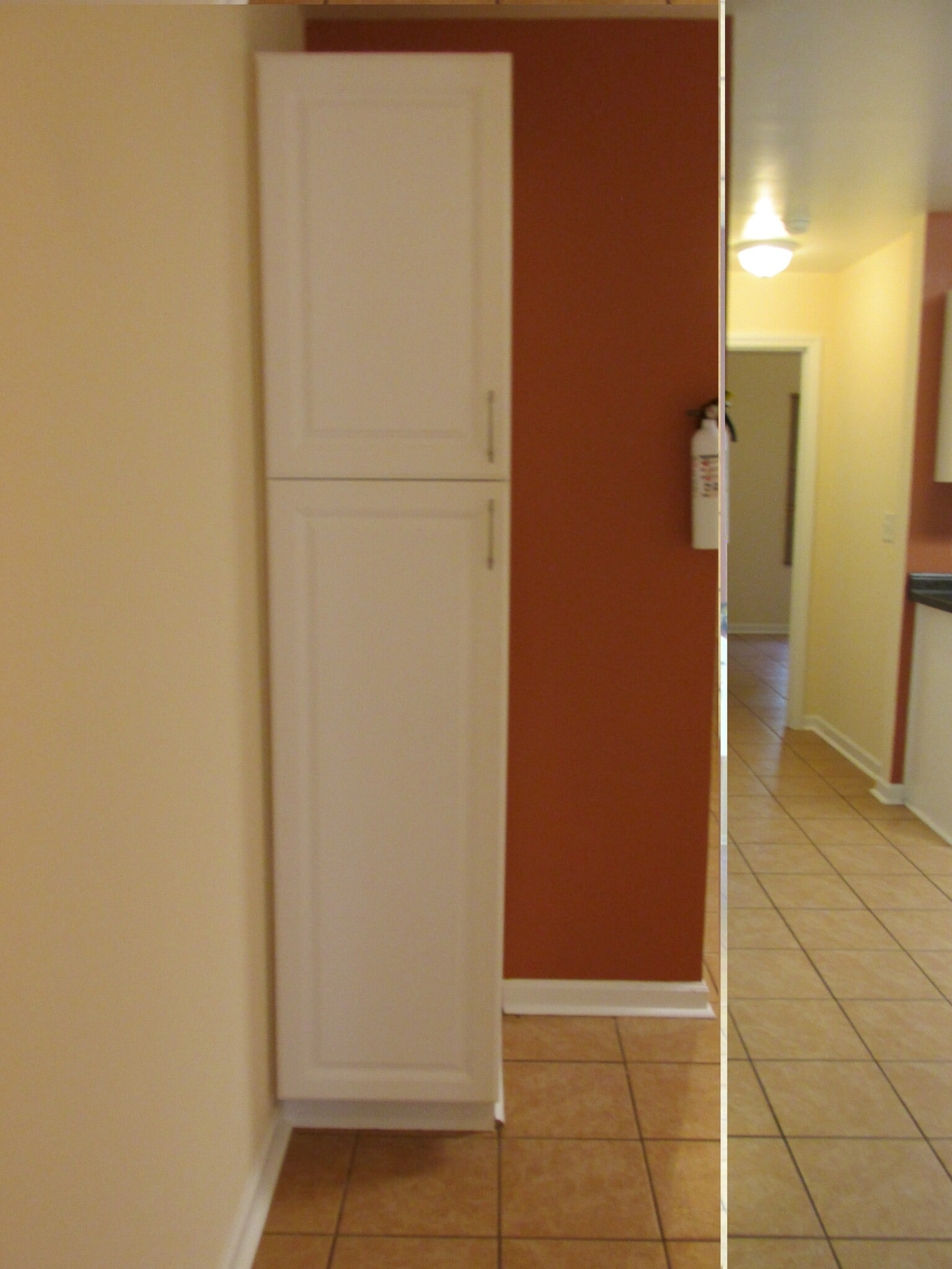 Hallway to kitchen, back room & back door exterior - 247 Hereford Cir