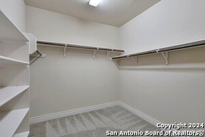 Building Photo - 2882 Coral Sky
