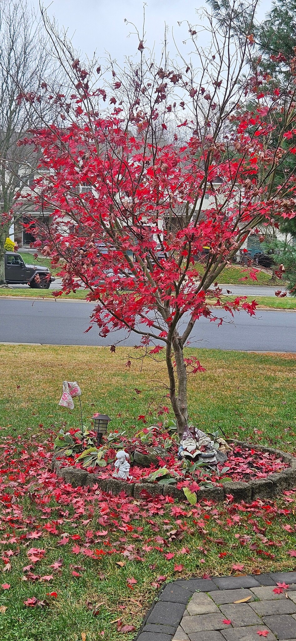 Building Photo - 34 Degas Cir