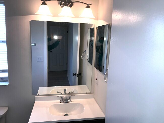 master vanity - 5845 Willow Leaf Ct