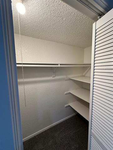 Building Photo - 9823 Summerwood Cir