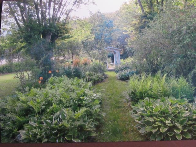 Building Photo - $1,600 - 2 Bed / 1.5 Bath House on Caney Fork with Stunning Landscaped Gardens