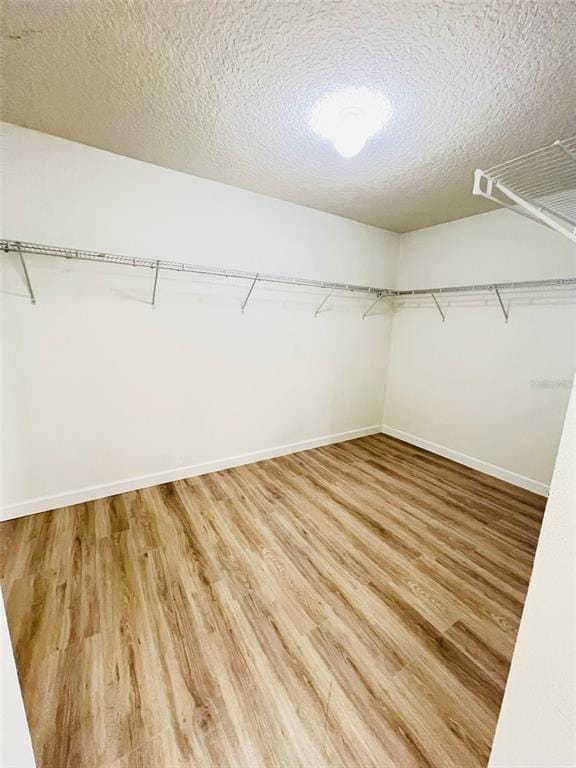 Building Photo - 13004 Boggy Pointe Dr