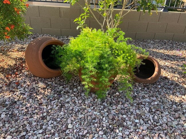 Building Photo - 22407 W Morning Glory St