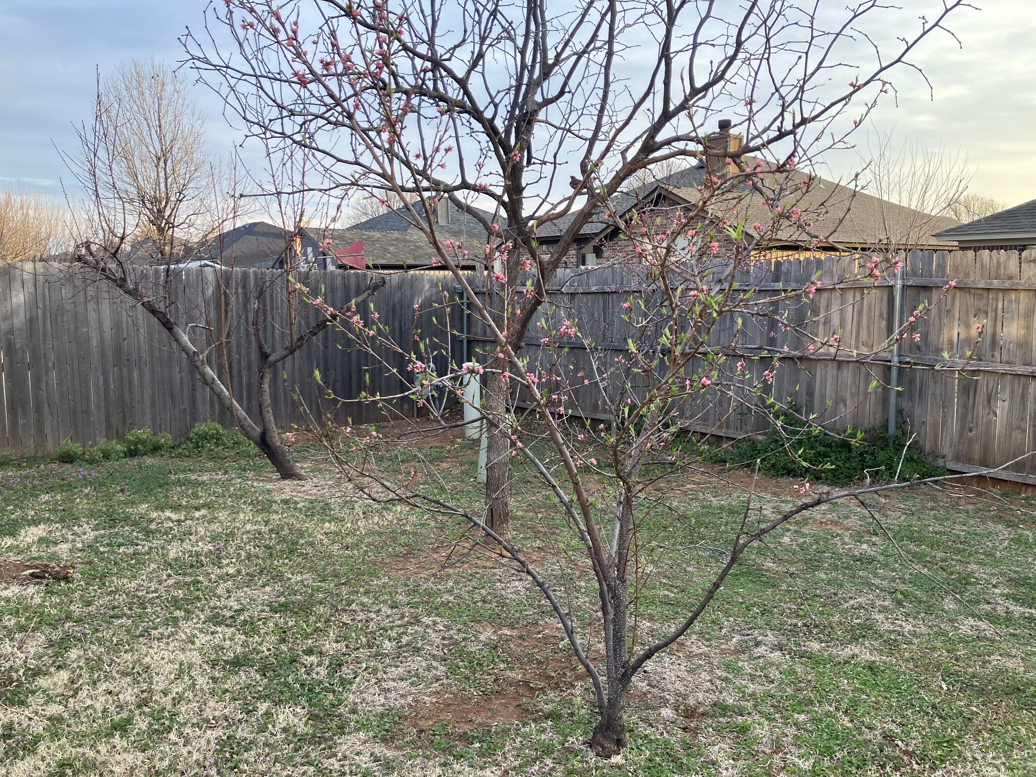 Building Photo - 16300 Seminole Dr