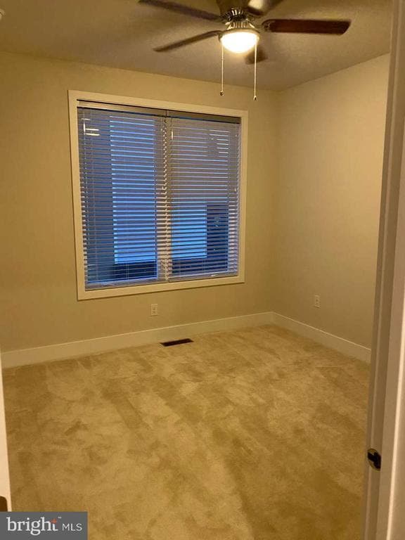 Building Photo - 1007 Morton Aly