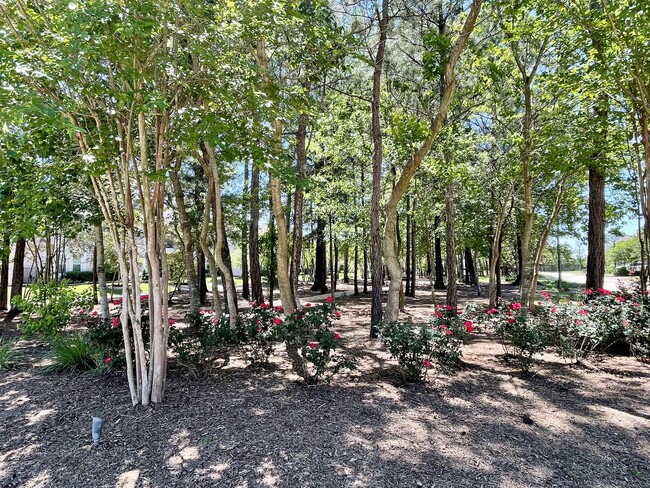 Building Photo - 111 Bonnie Ridge Cir