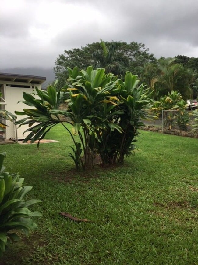 Building Photo - 3 BED 1 BATH BIG YARD  WITH CARPORT KANEOHE