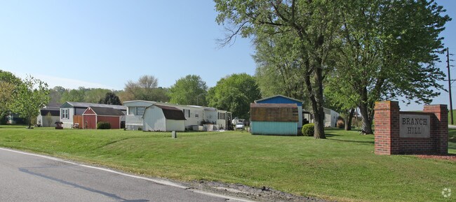 Primary Photo - Branch Hill