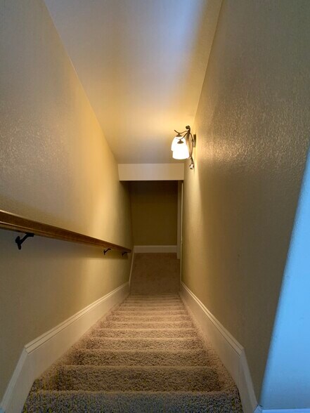 basement stairs - 3635 Reindeer Cir