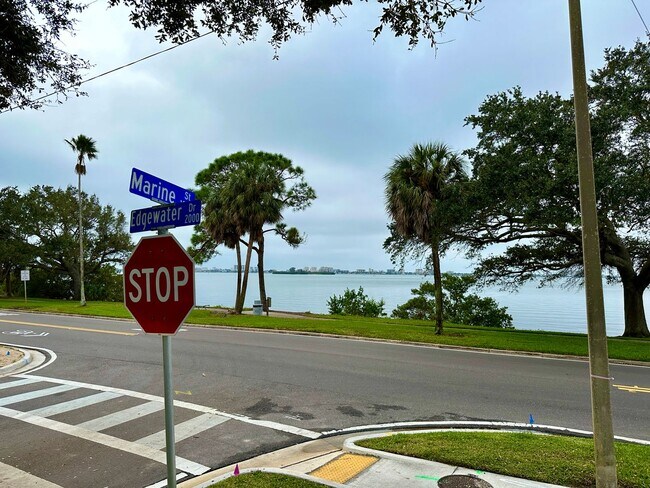 Building Photo - Stunningly Renovated 2/1 near the water av...