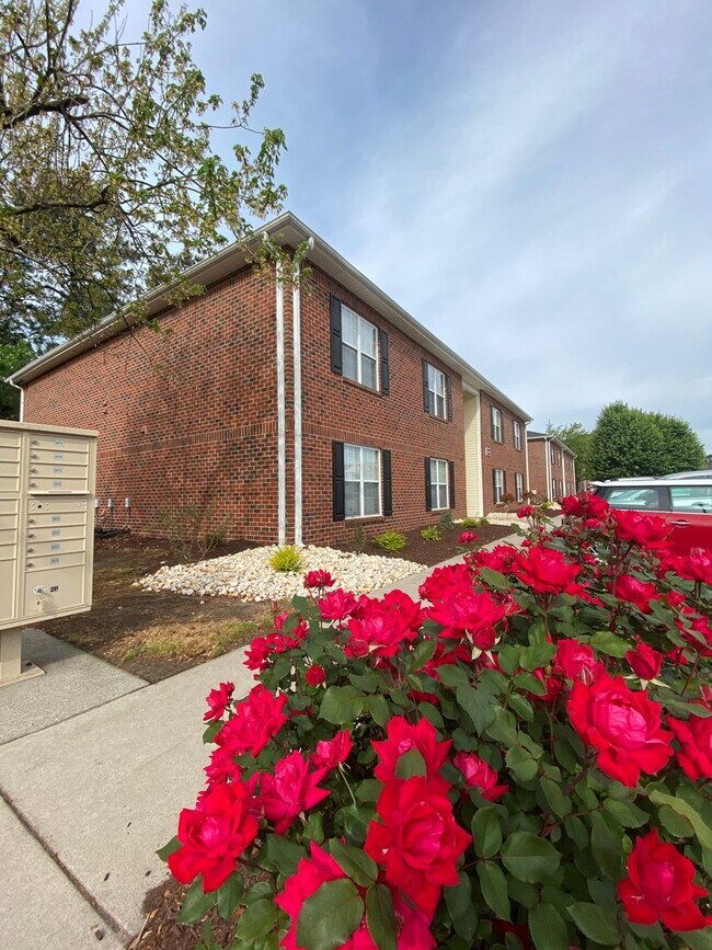 Building Photo - Who doesn't love  high speed internet, cable, water, sewer, trash & pest control included with th...