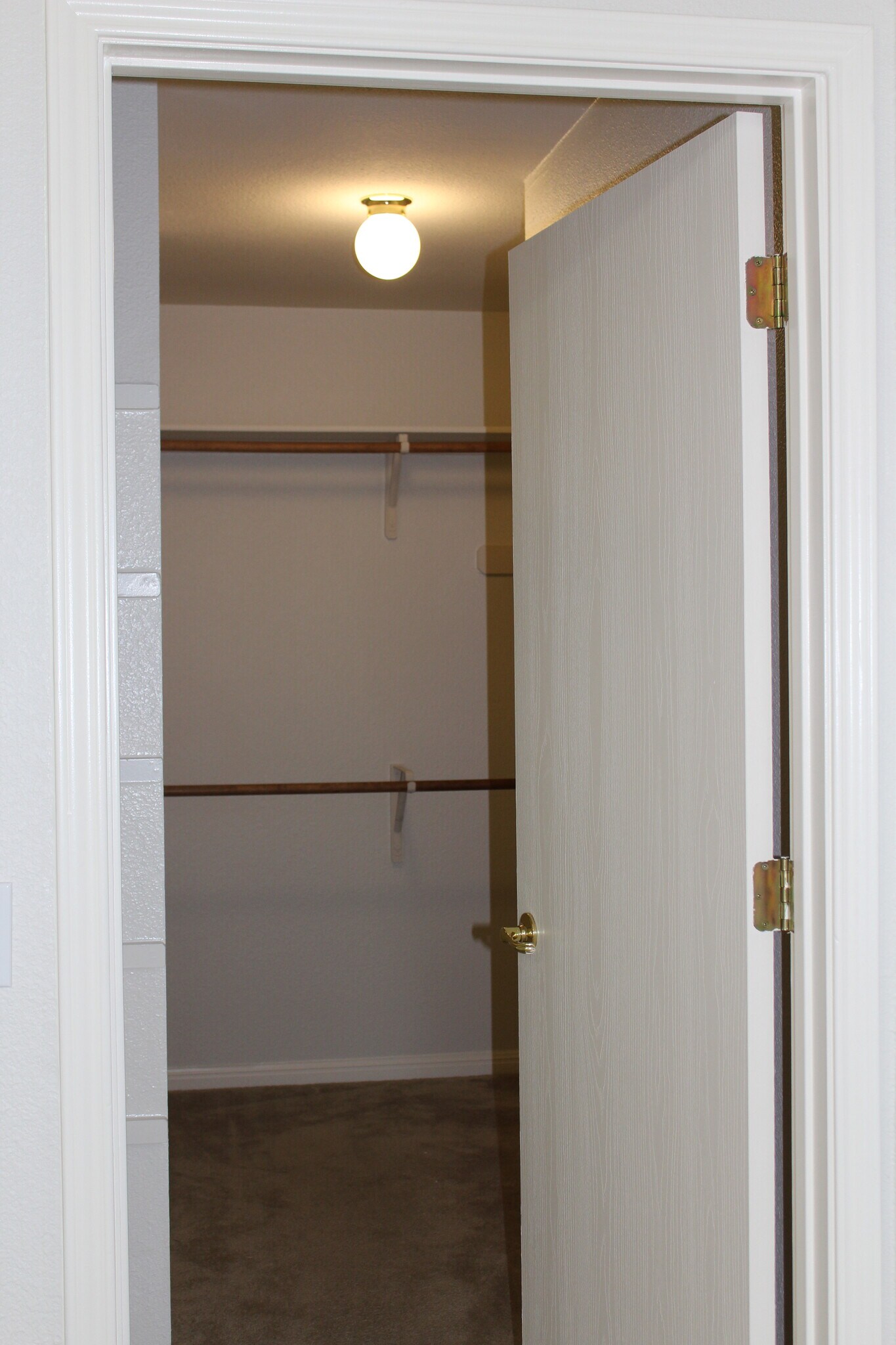 Walking closet in master bedroom - 5605 Bentsen Ln