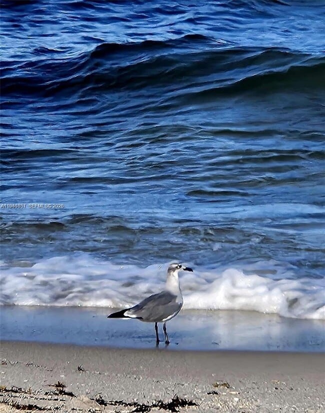 Building Photo - 3140 S Ocean Dr