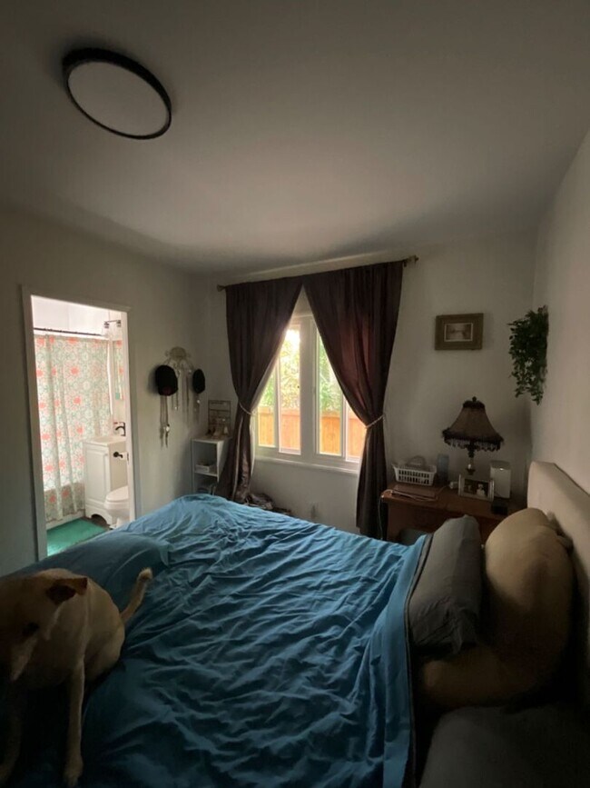 Building Photo - 1 bed, 1 bath - South Mission Hills neighborhood