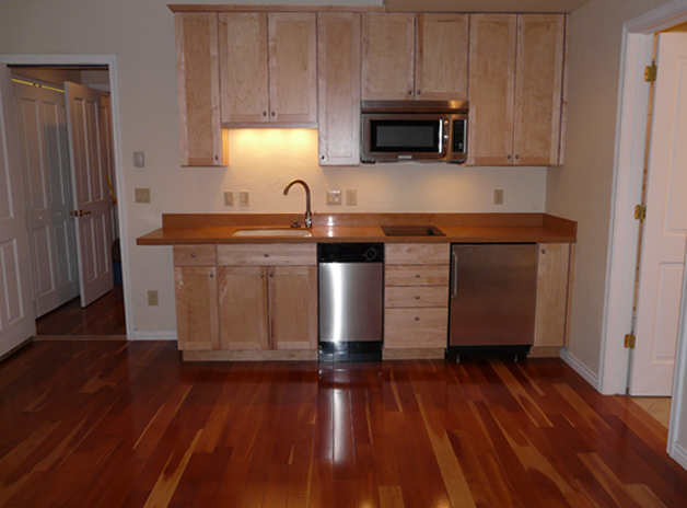 Kitchenette with Dishwasher, Microwave, 2 Burner Electric Cooktop, under counter refrigerator, etc - 46 Heather Ln