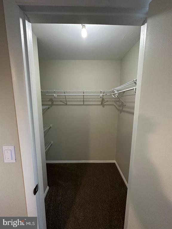 Building Photo - 1205 Springwood Ct