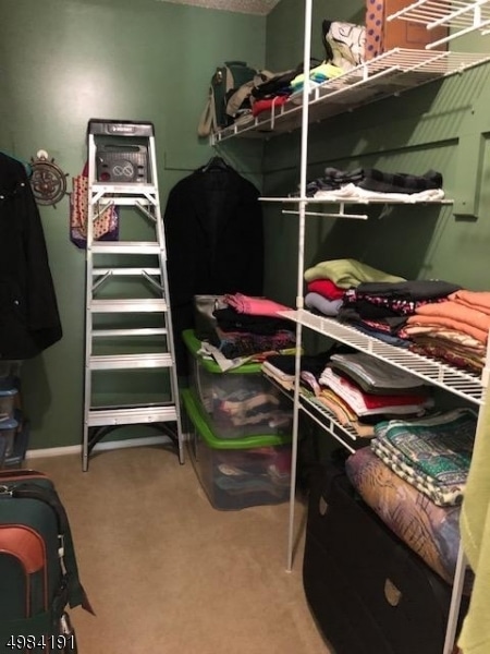 Building Photo - 151 Gregory Ln