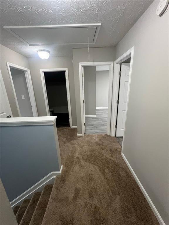 Building Photo - 1145 Grace Dr