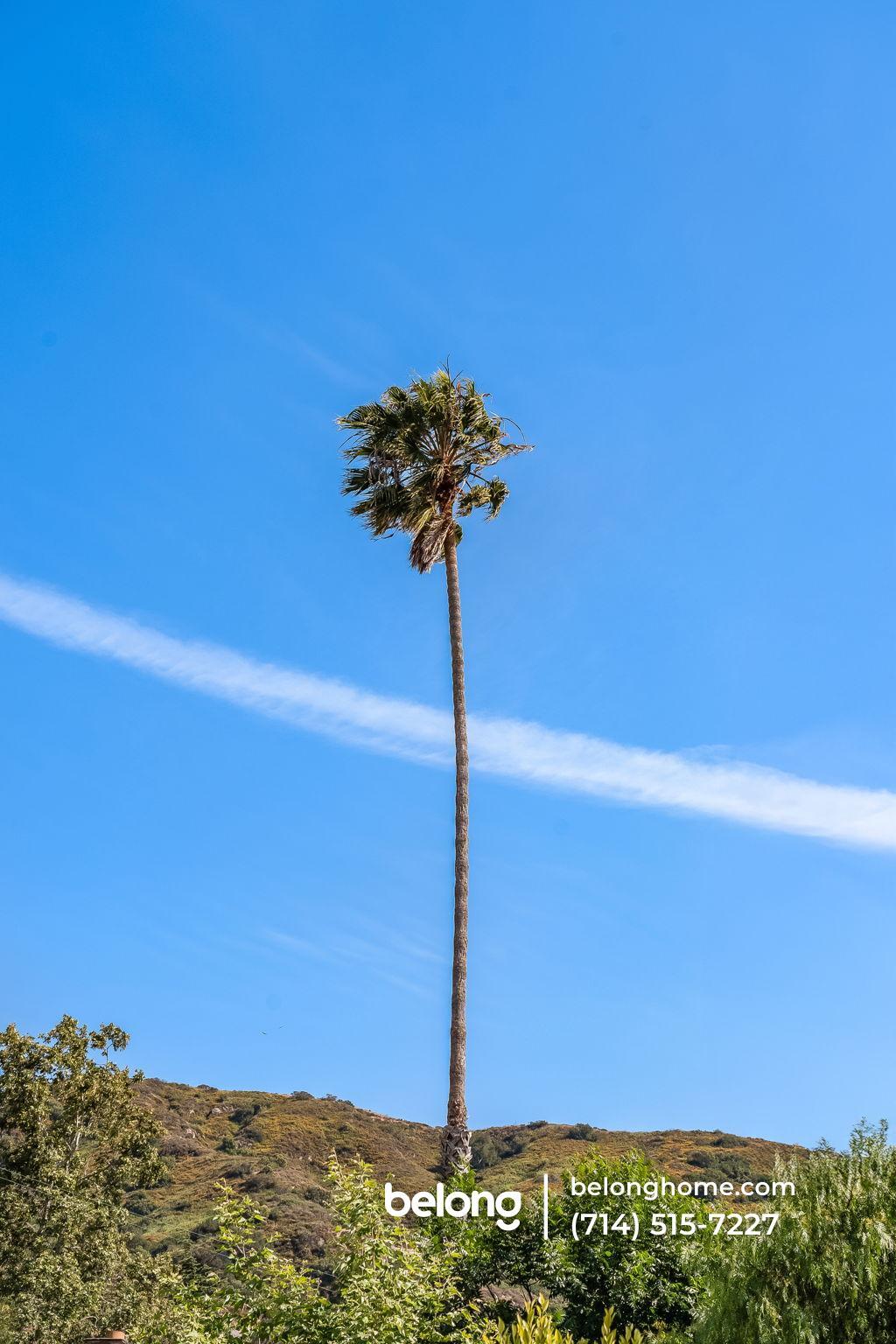 Building Photo - 20000 Laguna Canyon Rd