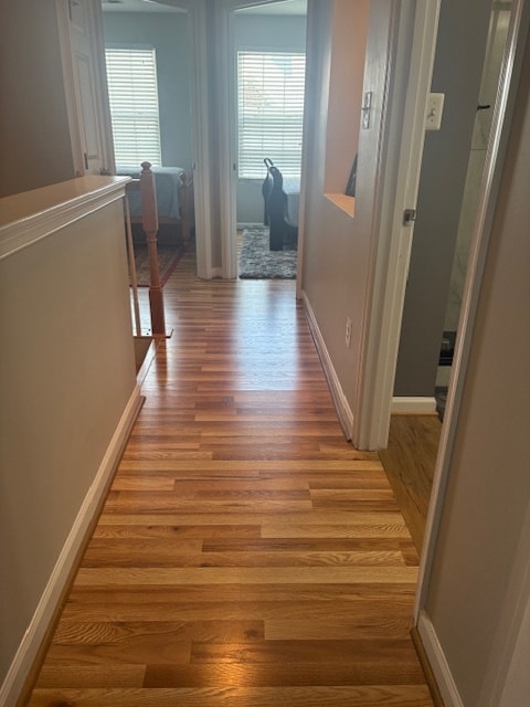 Building Photo - 41722 Cynthia Terrace