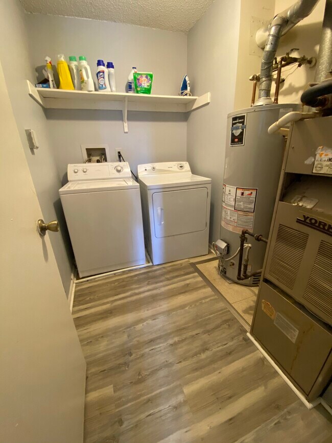 Building Photo - 109 Sussex Pl