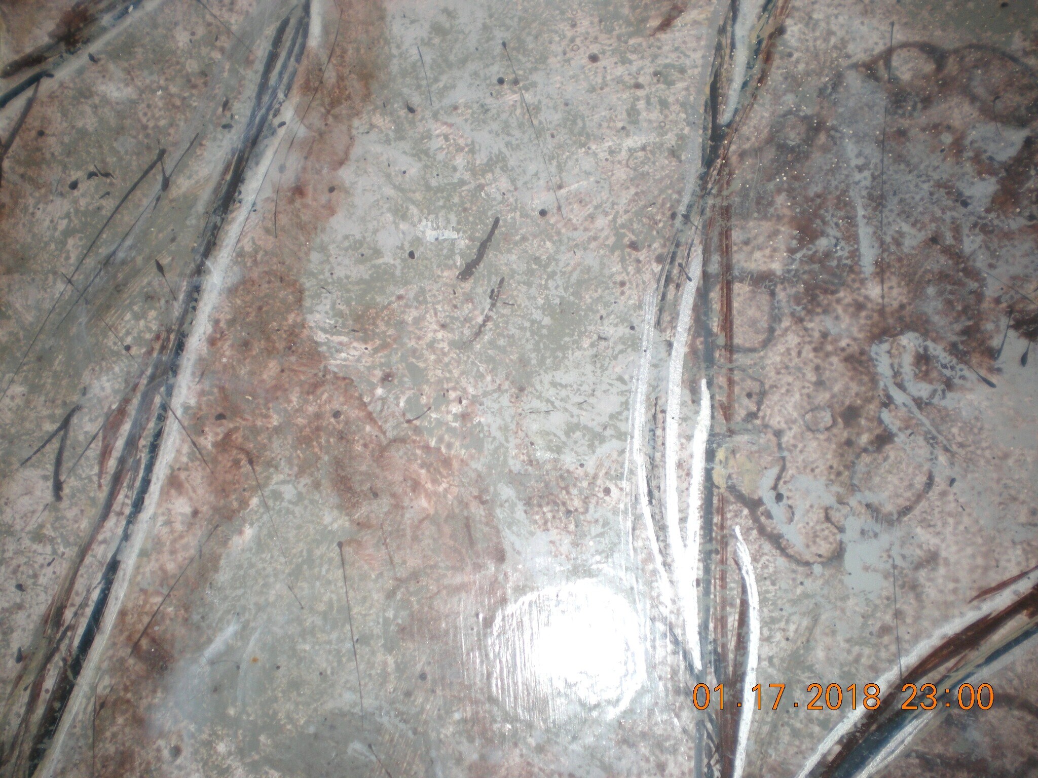 Custom kitchen countertop - 1160 Clinton St