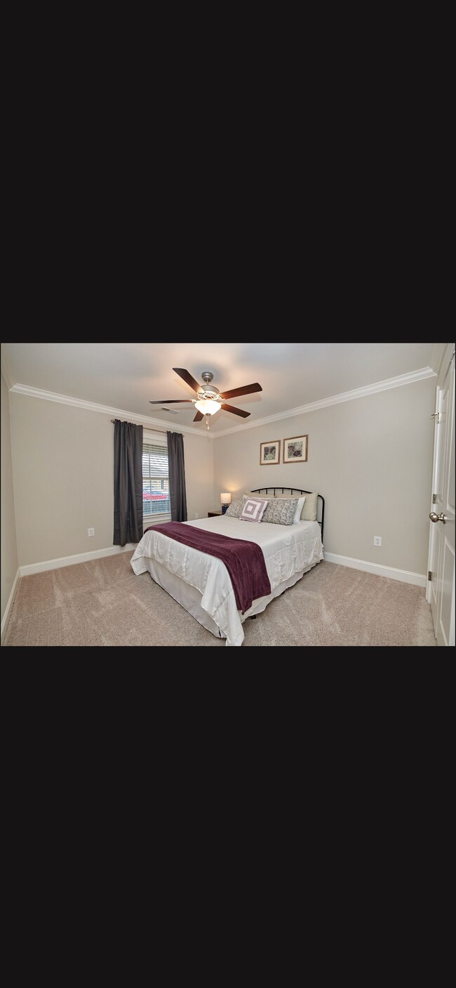Building Photo - 2525 Celia Ct