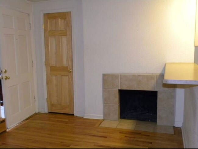 Fireplace - 336 N Grant St