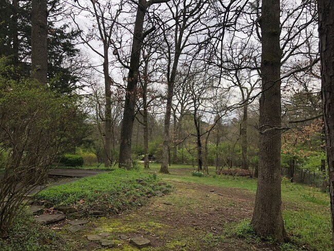 Building Photo - 3 bedroom, 2 Bath House Near University of...