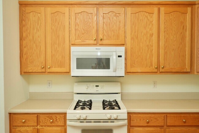 Building Photo - 1119 Somer Chase Ct