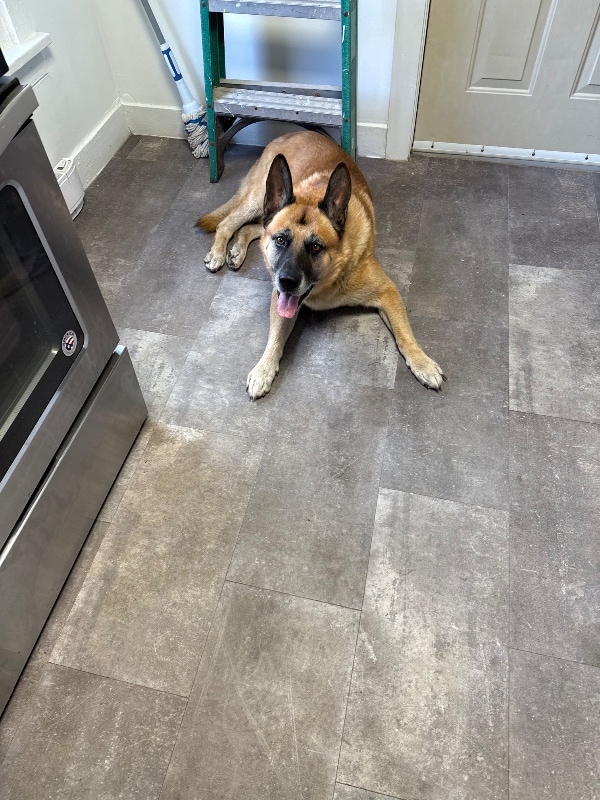 Building Photo - 12 Grove St