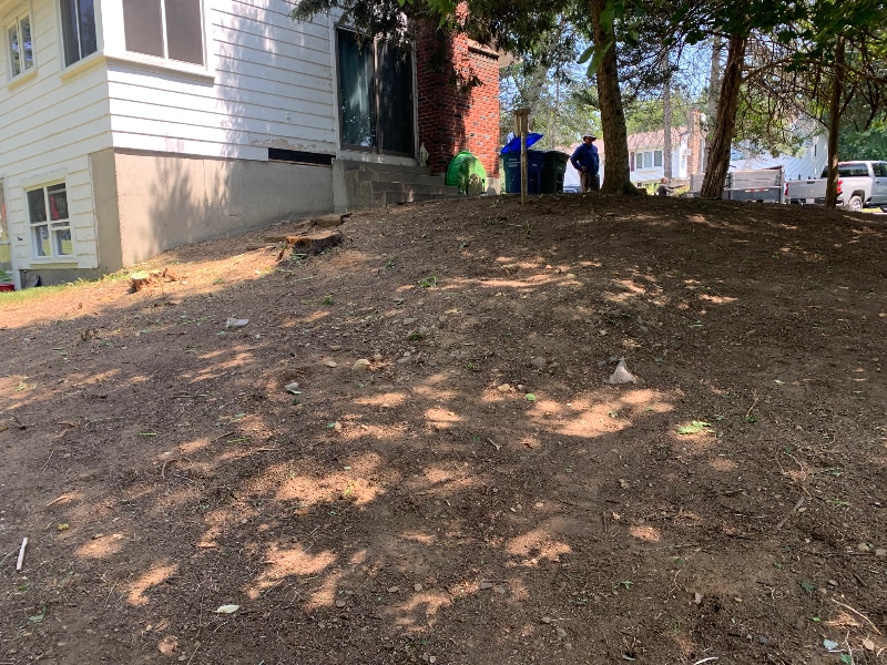 Building Photo - 57 Lawrence St