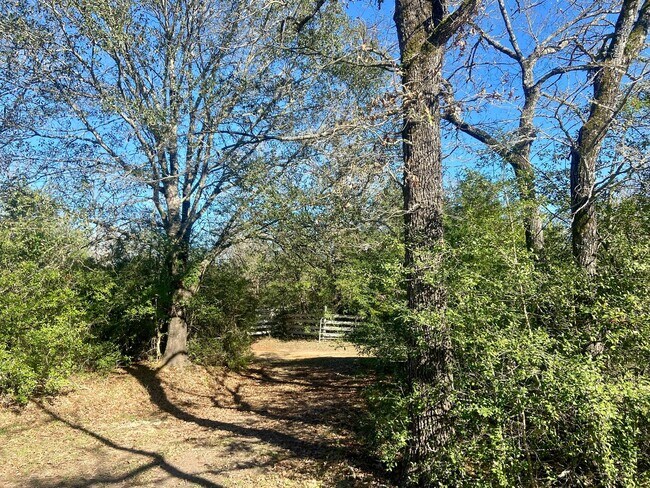 Building Photo - Beautiful 3/2 Farmhouse on Acreage
