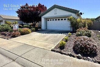 Building Photo - 943 Gold Nugget Cir