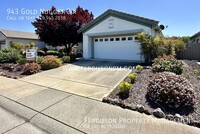 Building Photo - 943 Gold Nugget Cir
