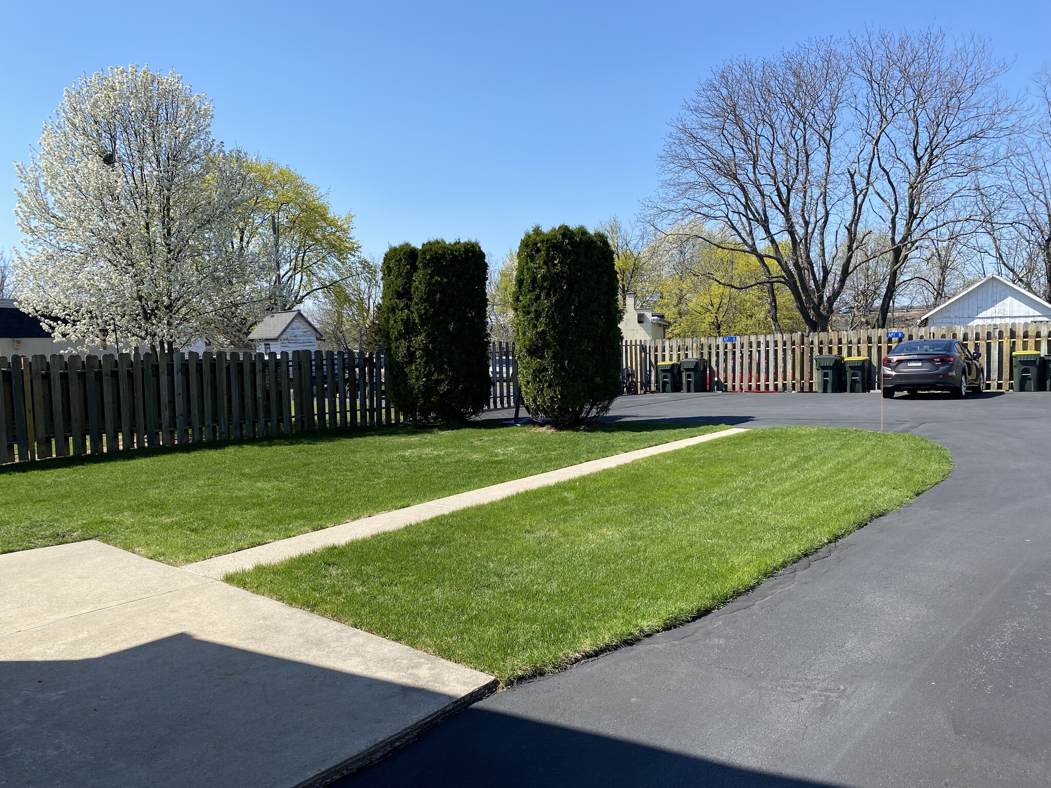 Back yard and parking area - 6339 Memorial Rd
