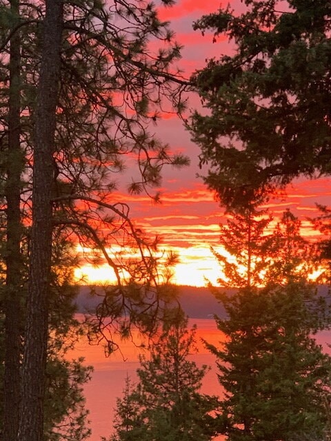 Building Photo - 2BR, 2BTH Executive Log Cabin Living Overlooking Carlin Bay on Lake Coeur d'Alene