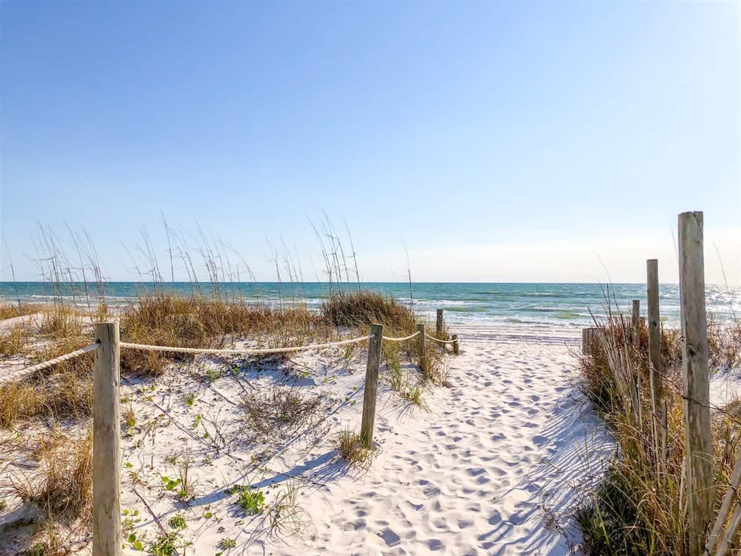 Building Photo - 5218 Beach Dr