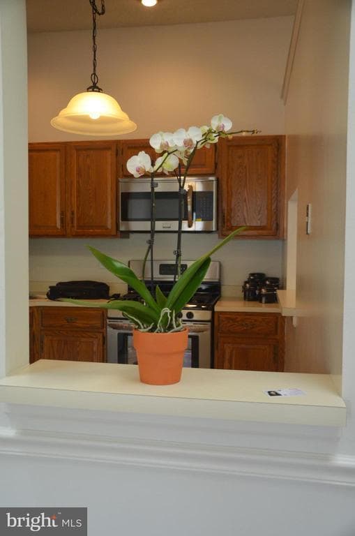 Building Photo - 74 Lehavre Ct