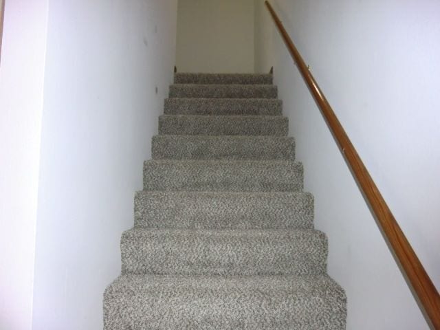 Building Photo - 517 Wood Thrush St