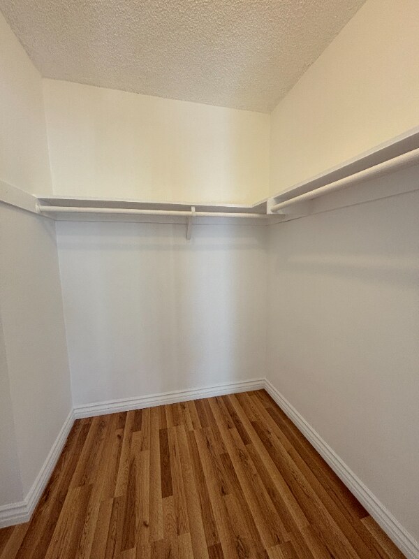 Building Photo - 2042 Beachwood Dr